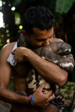 shirtless man hugging pet sloth. You can legally own a sloth in Alberta, Canada.