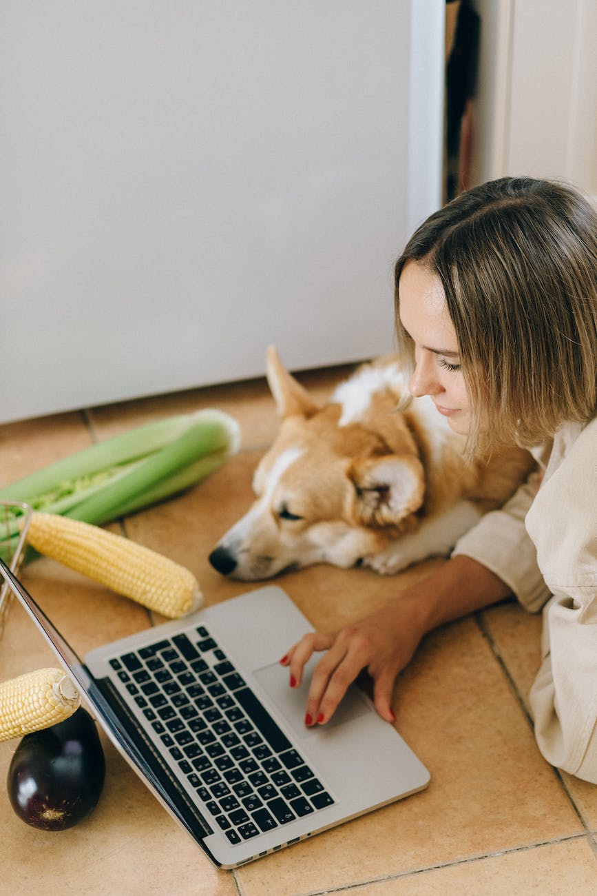 Can You Take Your Learners Test Online In Alberta Know Alberta can-you-take-your-learners-test-online-in-alberta-know-alberta