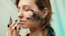 photo of scorpion on woman s face. You can legally own a pet scorpion in alberta canada