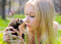 woman holding ferret. You can legally own a pet ferret in alberta, canada.