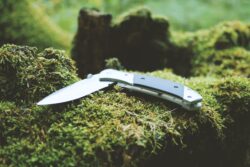 gray and black folding pocket knife on moss. Legality of carrying a pocket knife in Alberta, Canada.