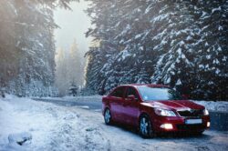 red sedan in the middle of winter alberta forest. Alberta no longer has stickers for license plates.