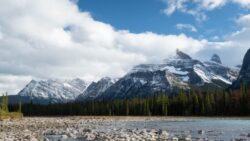 rocky river and glacier mountains at the distance athabasca river is the longest river in alberta canada.