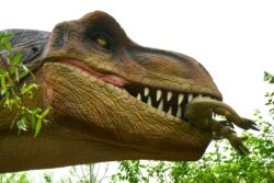 low angle photo of dinosaur eating baby dinosaur. Where can you observe dinosaur fossils in Alberta, Canada.